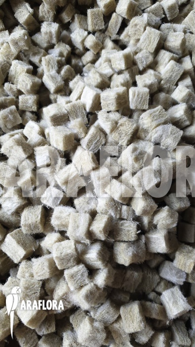 Rockwool cubes Grodan