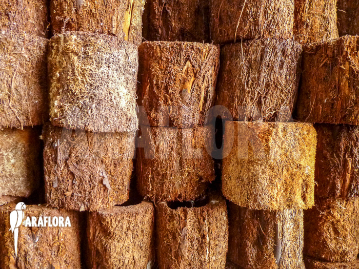 Tree fern pot xaxim ‘S’